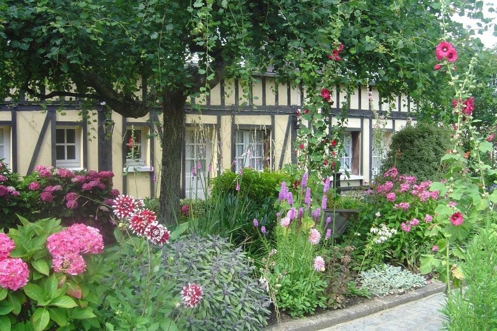 ‪‪Hotel de la Croix d'Or‬‬  آفروشْ المظهر الخارجي الصورة